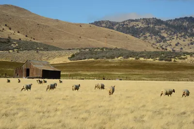 DSC_3124 (Large).JPG